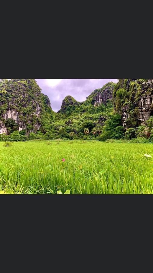 Tam Coc Scenery Homestay Van Lam Esterno foto